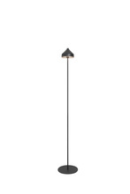  LD1096D3 - Amelie Floor Lamp