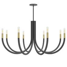 Dainolite WAN-388C-MB-AGB - 8 Light Incandescent Chandelier, Matte Black and Aged Brass