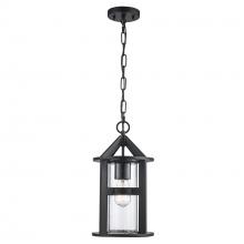 Trans Globe 51684 BK - Prado 1 - Light Outdoor Pendant Light