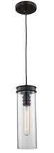 Trans Globe PND-2046 ROB - Lightfair 1-Light, Elongated Cylindrical Clear Glass, Mini Pendant