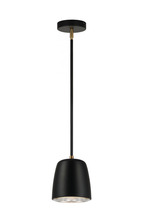 Matteo Lighting C73701BK - Luca Pendant