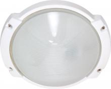  60/516 - 1 Light - 11" Oblong Round Bulkhead - Semi Gloss White Finish