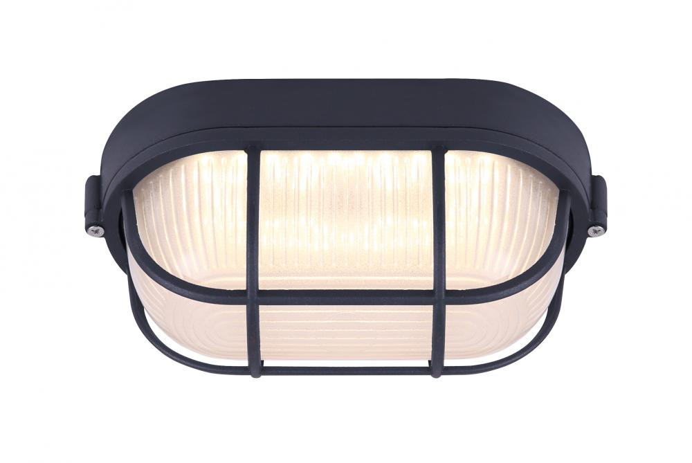 Black LED Outdoor Light, Frosted Glass, 819 Lumens