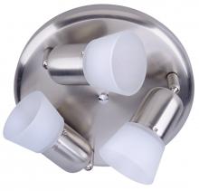 Canarm ICW5351 - Omni 3 Light Ceiling Light, Brushed Pewter Finish