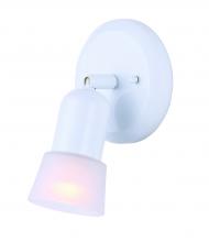 Canarm ICW5111 - Omni, Single Head Ceiling/Wall, Frosted Glass, 60W A15 or R16