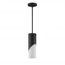  PF260-BLK - 1 LIGHT PENDANT