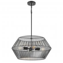  DVP44505EB - LADYSMITH 22" PENDANT