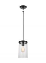  6590301EN7-112 - One Light Pendant