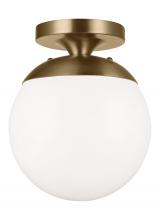 Visual Comfort & Co. Studio Collection 7518EN3-848 - Leo - Hanging Globe One Light Wall / Ceiling Semi-Flush Mount
