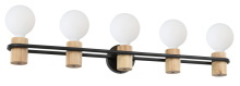 Eglo Canada 205369A - 5L Vanity Light / Murale de salle de bain 5L
