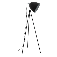 Eglo Canada 39499A - 1L Floor Lamp / Lampe de plancher 1L